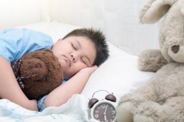 一个孩子抱着一个小泰迪熊睡觉，旁边躺着一个更大的毛绒玩具。