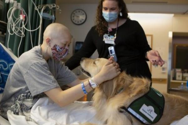 A young girl sits up in a hospital bed, petting a golden retriever with both hands. A hospital staff member stands beside the bed, looking on.